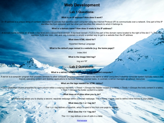 webDev screenshot