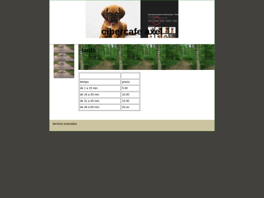 paginas/inicio screenshot