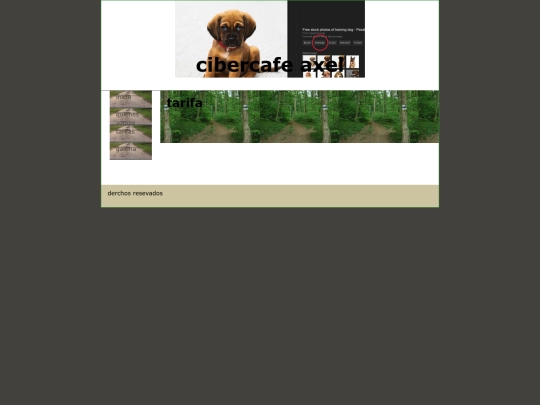 paginas/tarifa screenshot