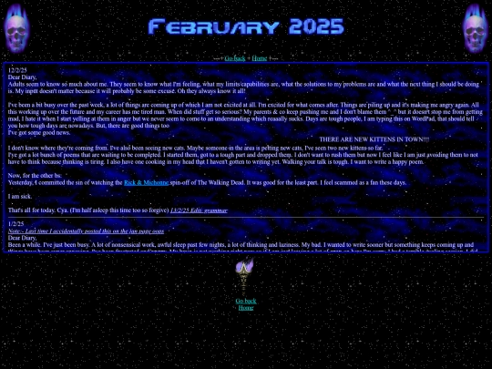 entries/2025/feb2025 screenshot