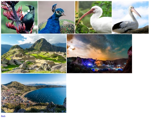 Birdwatching/assets/Photos1 screenshot