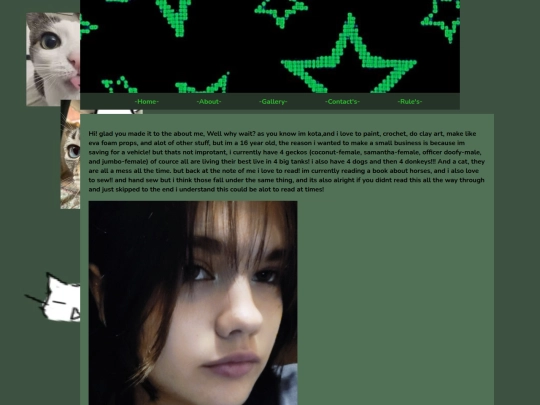 -About- screenshot