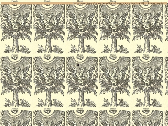 anivambre/dicosymbo screenshot