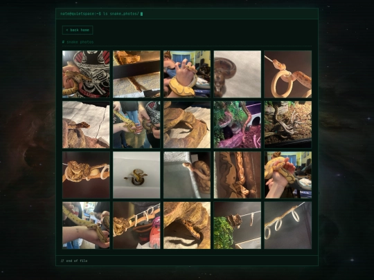 snake-gallery screenshot