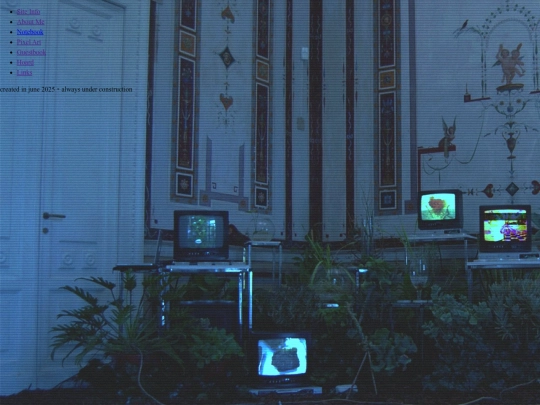home screenshot