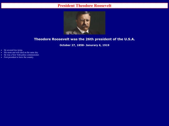 president2 screenshot