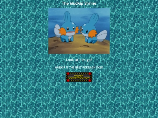 mudkip screenshot