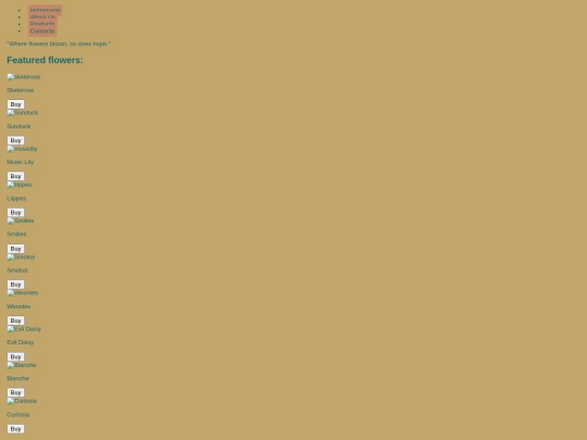 products screenshot