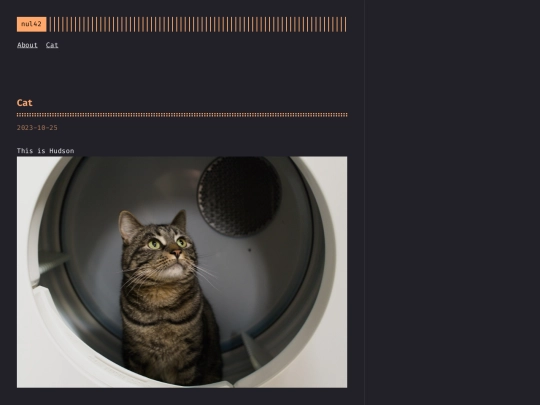 pages/cat screenshot