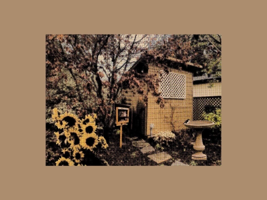 backyard screenshot