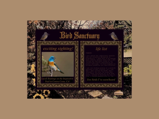 birdsanctuary screenshot
