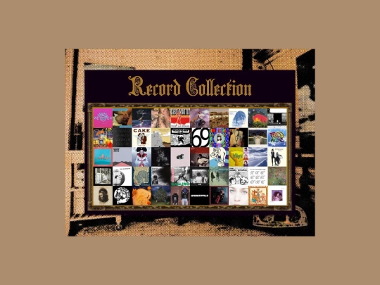 recordcollection screenshot