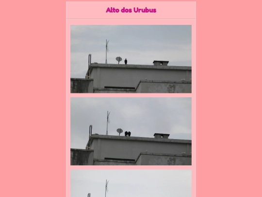 passarinhos/alto screenshot