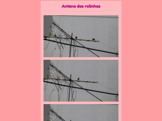 passarinhos/antena screenshot
