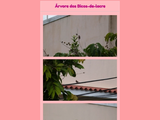 passarinhos/arvore screenshot
