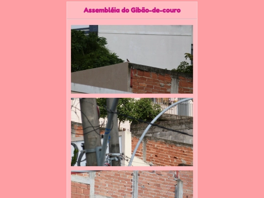 passarinhos/assembleia screenshot