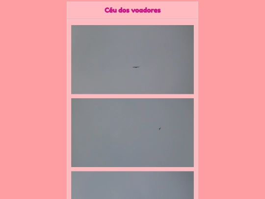 passarinhos/ceu screenshot