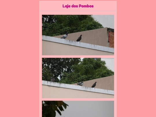 passarinhos/laje screenshot