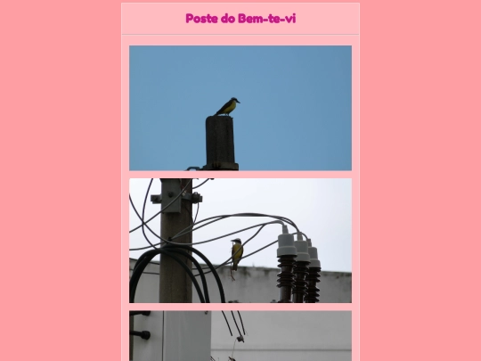 passarinhos/poste screenshot
