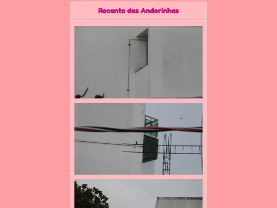passarinhos/predio screenshot