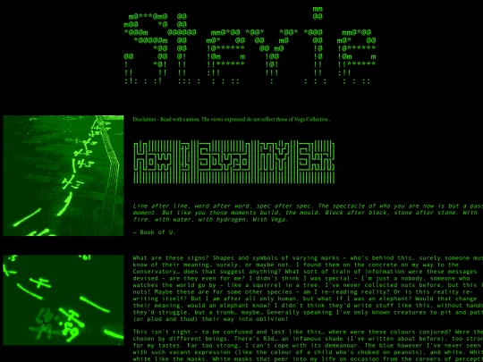StevieFragment1 screenshot