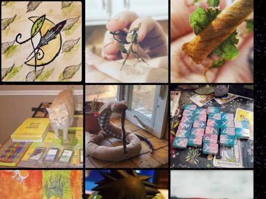 gallery screenshot