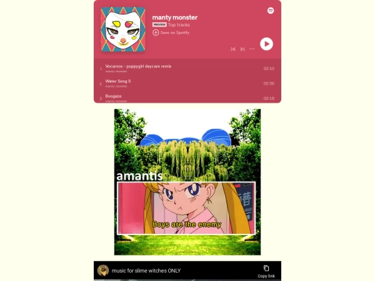 music screenshot