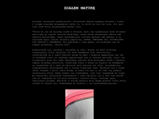 dziennik/01-12-2024 screenshot