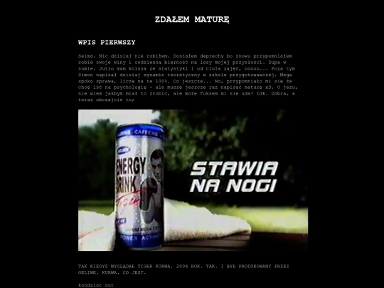 dziennik/03-12-2024 screenshot