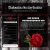 death-and-beauty.neocities.org avatar