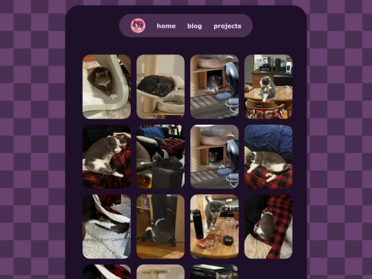 gallery/cats screenshot