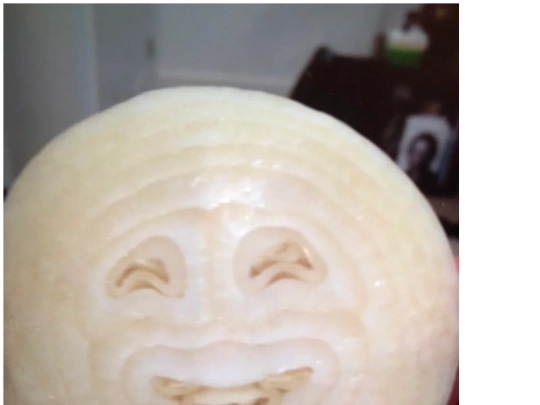 onion screenshot
