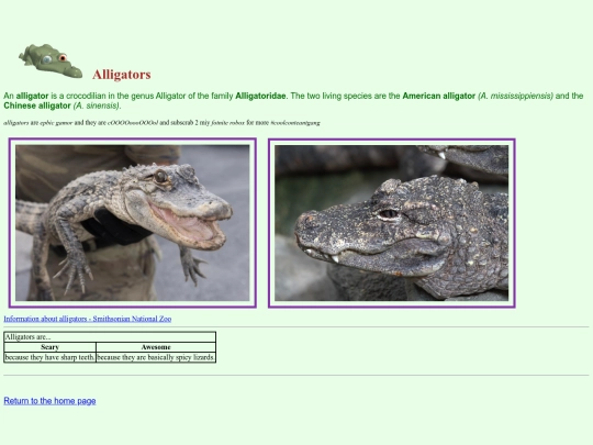 webdesign/alligator screenshot