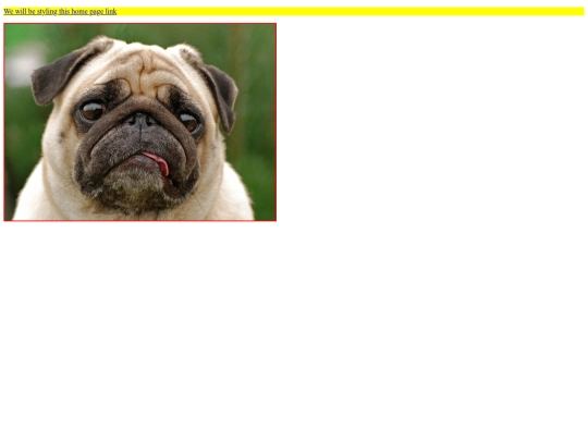 webdesign/extcss screenshot