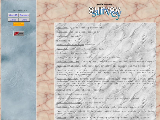 survey screenshot