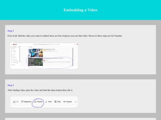 Video Embedding Turtoiral/Video_embedding screenshot