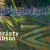 Christy Gibson avatar
