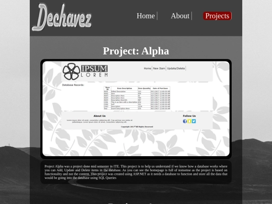 project screenshot