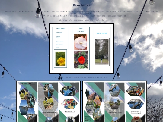 Brochure screenshot