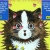 fritzthepiratefox.neocities.org avatar