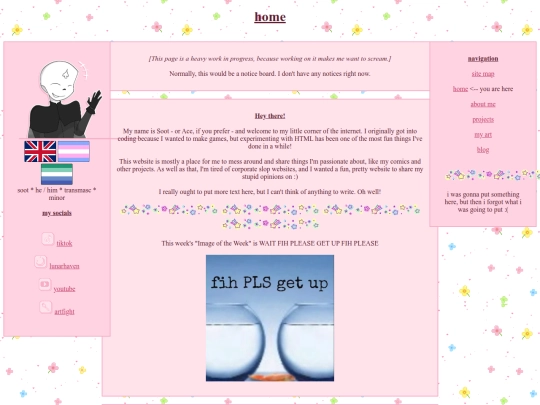 home screenshot