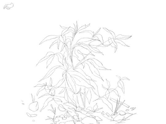 plant screenshot