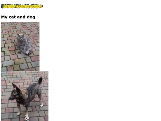 cats screenshot