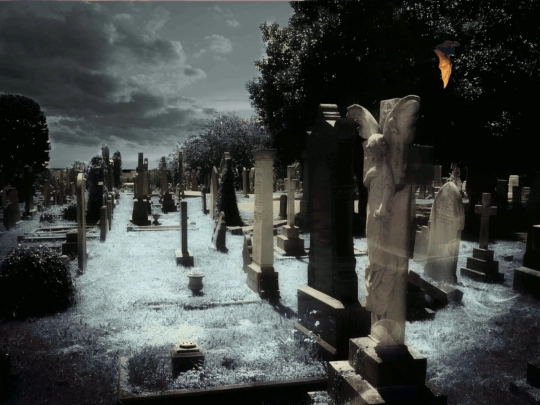 manor/pages/graveyard2 screenshot