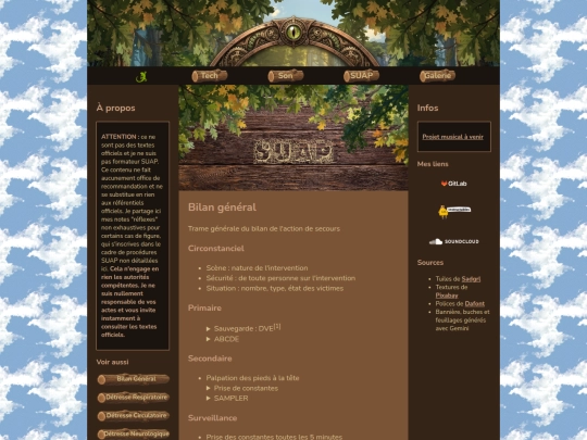 html/suap/bilan screenshot
