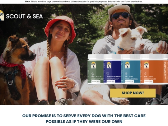 scoutandsea screenshot