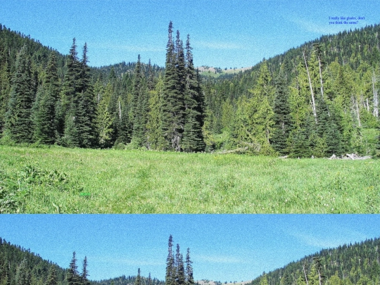 neisbor screenshot