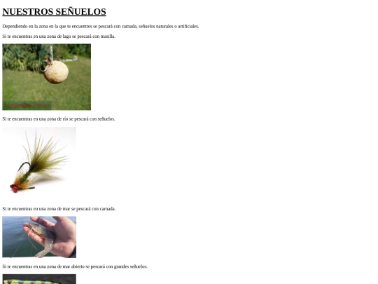 Trabajo fin de curso/señuelos screenshot