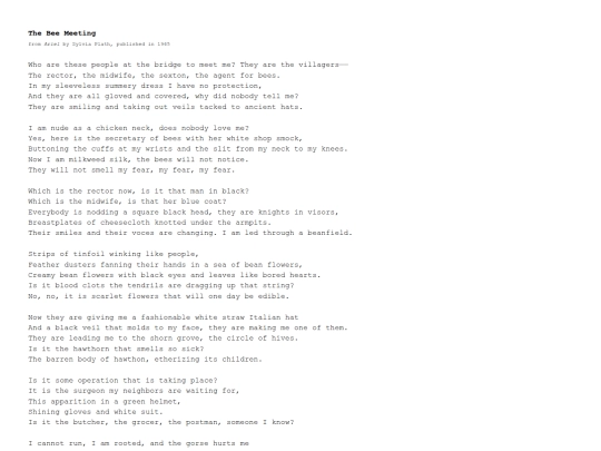 pages/beemeeting screenshot