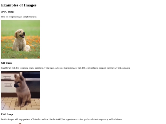 images-example screenshot